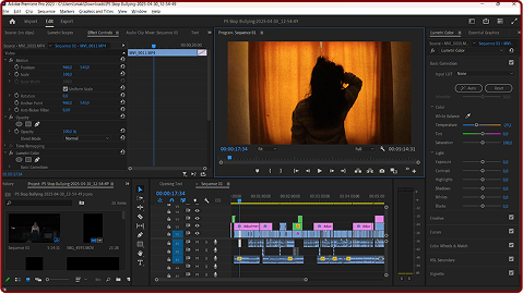Video Edit